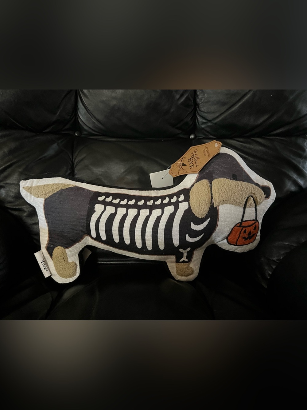 NEW Dachshund Skeleton Halloween Pillow